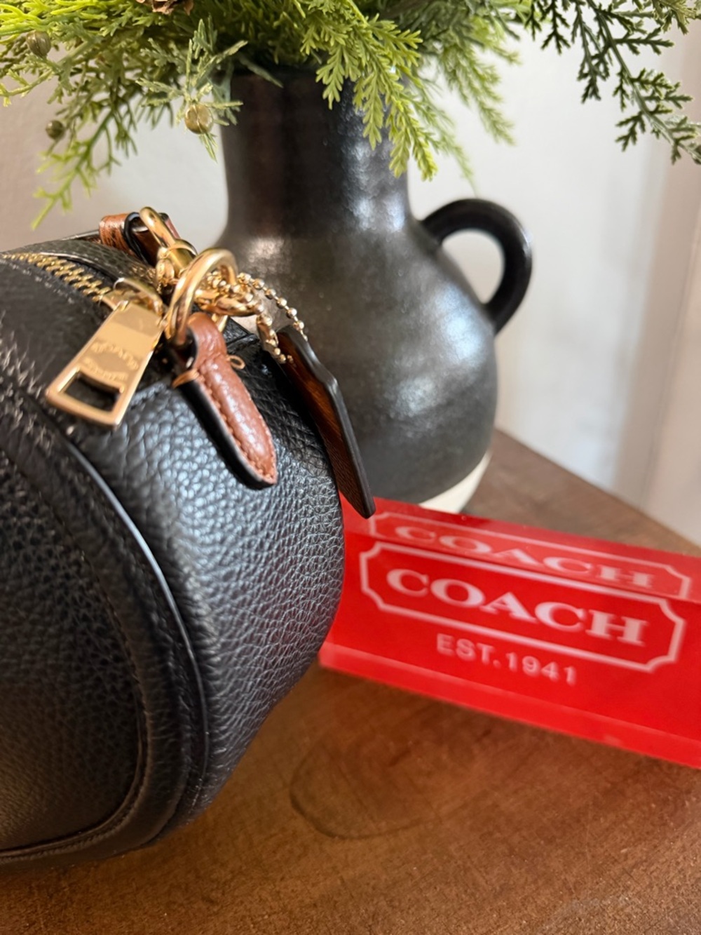 Coach Horse & Carriage Camera Bag - Picture 6 of 13